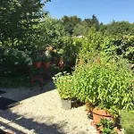 Hering In Διαμέρισμα Dill