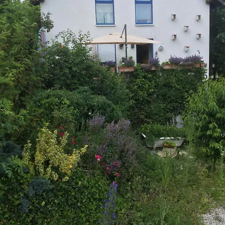 Daire Hering In Dill