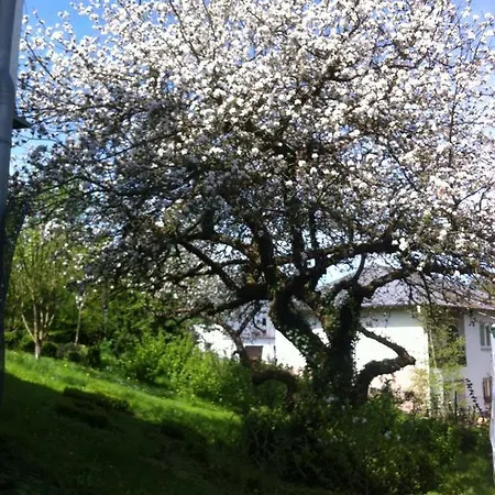 Hering In Apartmán