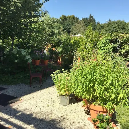 Hering In Apartment Dill