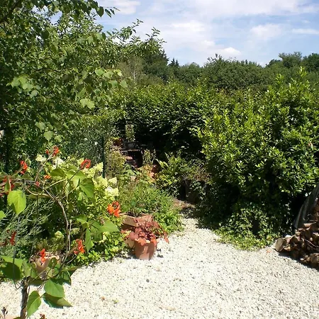 Hering In Daire Dill