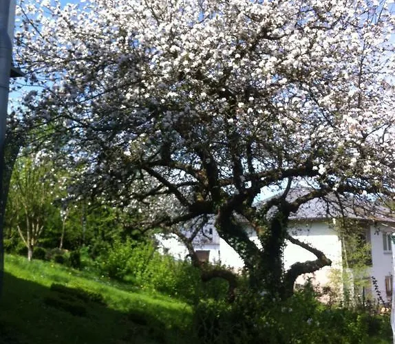 Hering In Διαμέρισμα