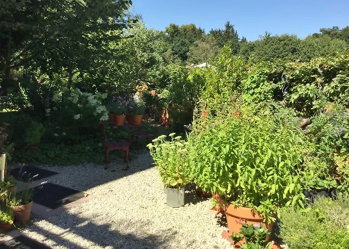 Hering In Διαμέρισμα Dill